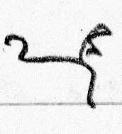 In-line image from the manuscript