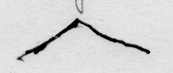 In-line image from the manuscript