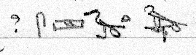 In-line image from the manuscript