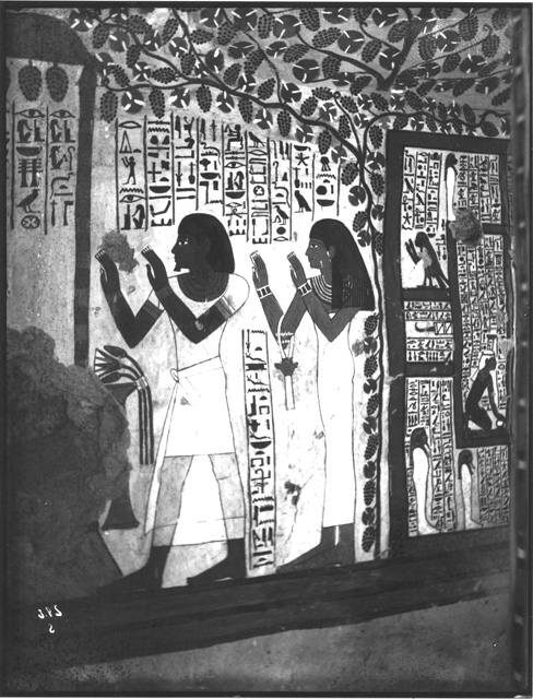 Simpson photo. 2: Thebes. Tomb TT 96, Sennufer. Temp. Amenophis II. Hall.