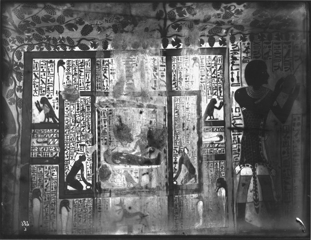 Simpson photo. 3: Thebes. Tomb TT 96, Sennufer. Temp. Amenophis II. Hall.
