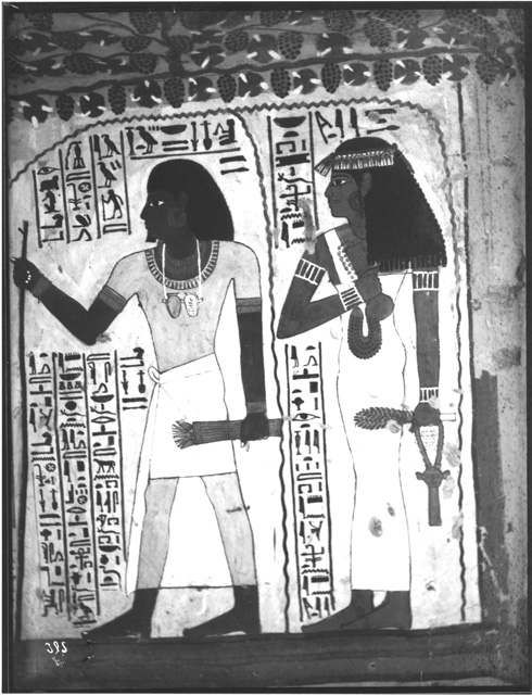 Simpson photo. 4: Thebes. Tomb TT 96, Sennufer. Temp. Amenophis II. Hall.