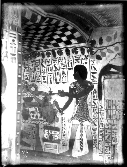 Simpson photo. 7: Thebes. Tomb TT 96, Sennufer. Temp. Amenophis II. Hall.