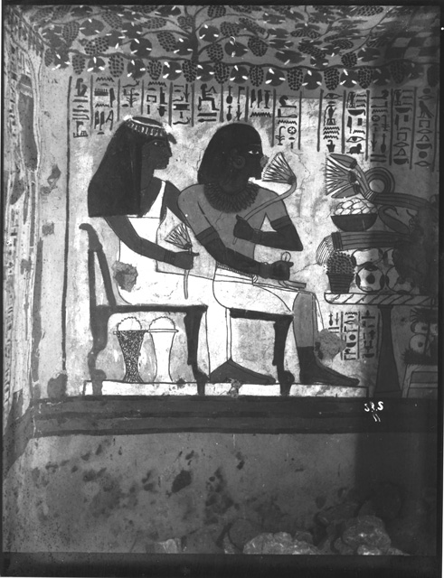 Simpson photo. 11: Thebes. Tomb TT 96, Sennufer. Temp. Amenophis II. Hall.