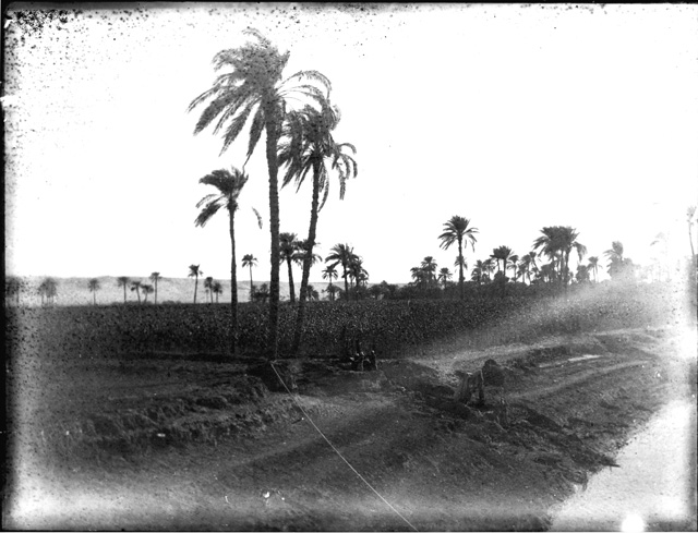 Simpson photo. unnumbered 16: Egyptian countryside.