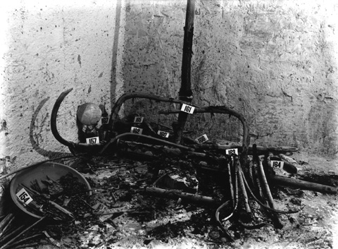 Burton photograph p0045 relating to Carter no. 135r