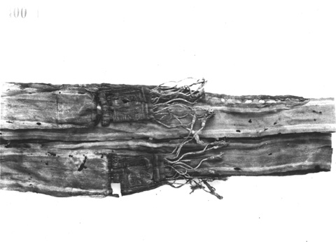 Burton photograph p0441 relating to Carter no. 100f
