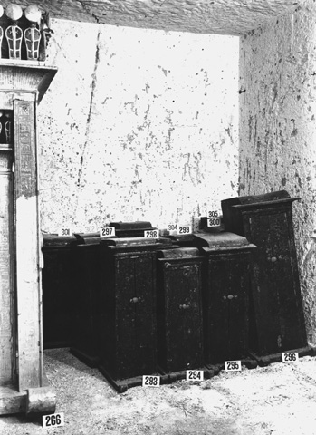 Burton photograph p1171a relating to Carter no. 293