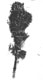Icon of Burton photograph: p0069 (size=21.05Kb)
