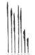 Icon of Burton photograph: p1206 (size=35.12Kb)