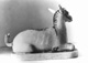 Icon of Burton photograph: p1614 (size=47.04Kb)