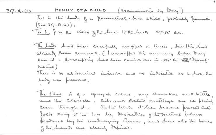 Card no. 317a-07 relating to Carter no. 317a(2)
