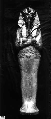 1 Please Send Age And Date Of King Tut S Death Along With