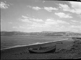 Red Sea shore