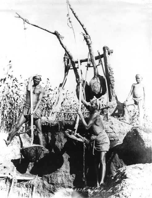 Zangaki, G., Irrigation devices (c.1890
[Estimated date.])