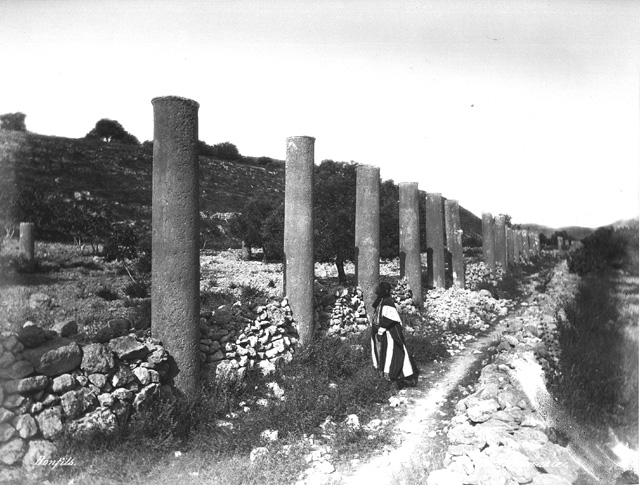 Bonfils, F., Samaria (Sebastia) (c.1870  [Estimated date.])
