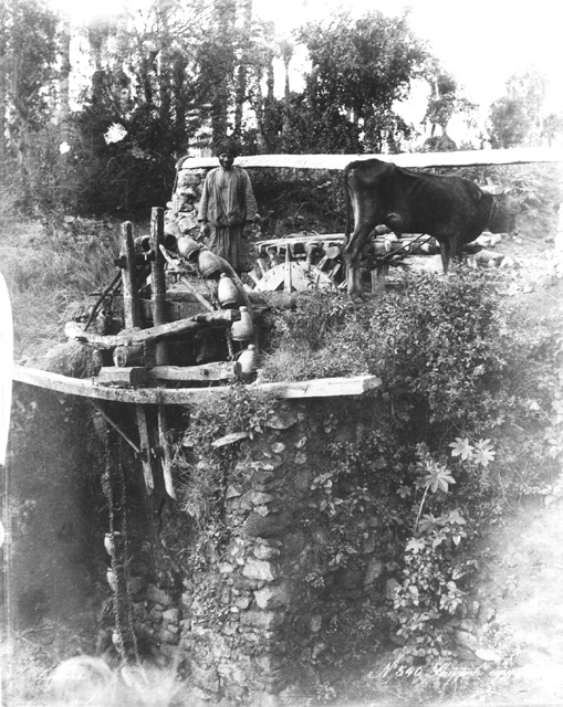 Zangaki, G., Irrigation devices (c.1890
[Estimated date.])