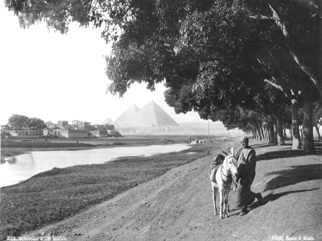 Schroeder & Cie., Giza (c.1890
[Estimated date.])
