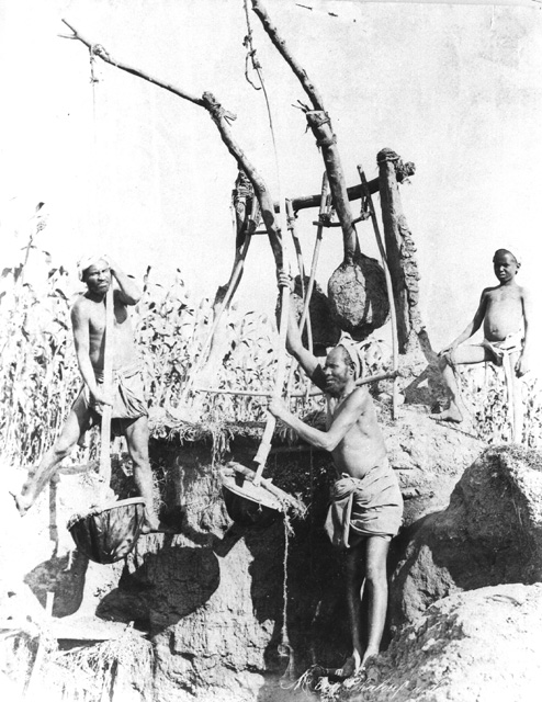 Zangaki, G., Irrigation devices (c.1890
[Estimated date.])