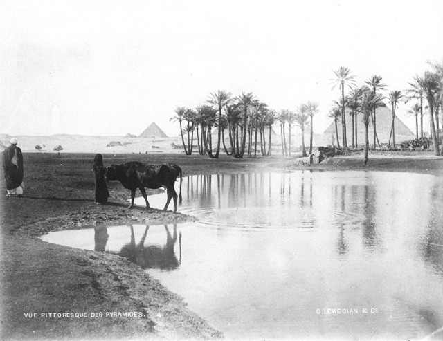 Lekegian, G., Giza (c.1890
[Estimated date.])