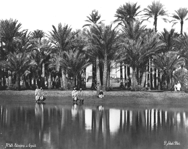 Sebah, J. P., Egyptian countryside (before 1876
[In an album dated 1876.])