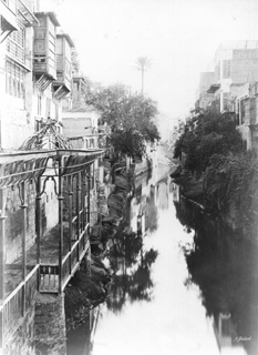 Bchard, H., Cairo (before 1887
[Reproduced in 1887.]) (Enlarged image size=36Kb)