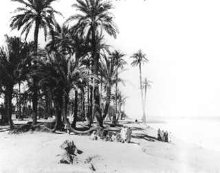 Sebah, J. P., Egyptian countryside (c.1890
[Estimated date.]) (Enlarged image size=37Kb)