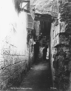 Sebah, J. P., Cairo (c.1890
[Estimated date.]) (Enlarged image size=39Kb)
