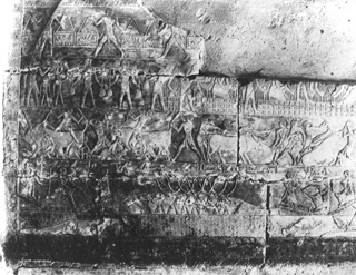 Zangaki, G., Saqqara (c.1890
[Estimated date.]) (Enlarged image size=53Kb)