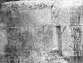 Sebah, J. P. (probably), Saqqara (c.1880
[Estimated date.]) (Enlarged image size=53Kb)