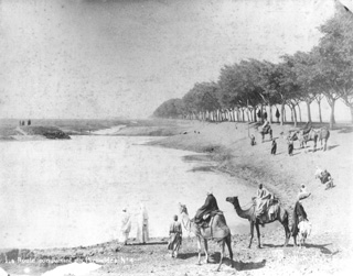 Abdullah Frres, Giza (c.1880
[Estimated date.]) (Enlarged image size=35Kb)