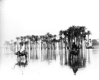 Bonfils, F., Egyptian countryside (c.1880
[Estimated date.]) (Enlarged image size=27Kb)