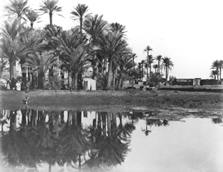 Sebah, J. P., Egyptian countryside (before 1874
[In an album dated 1873-4.]) (Enlarged image size=38Kb)