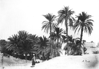 Beato, A., Karnak (c.1890
[Estimated date.]) (Enlarged image size=33Kb)