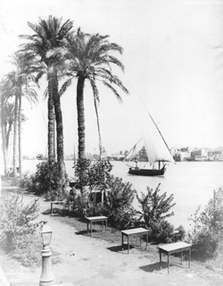 Zangaki, G., Cairo (c.1890
[Estimated date.]) (Enlarged image size=37Kb)