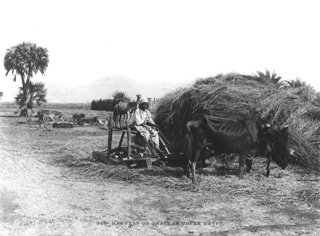 not known, People and scenes of daily life (c.1890
[Estimated date.]) (Enlarged image size=33Kb)