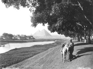 Schroeder & Cie., Giza (c.1890
[Estimated date.]) (Enlarged image size=38Kb)