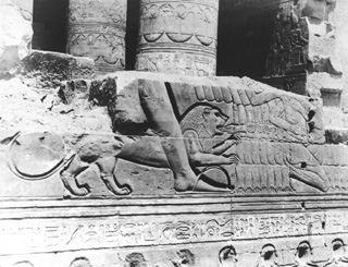 not known, Kom Ombo (c.1890
[Estimated date.]) (Enlarged image size=48Kb)