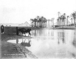 Lekegian, G., Giza (c.1890
[Estimated date.]) (Enlarged image size=28Kb)