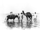 Click to see details of men and boys with a water buffalo and a...