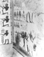 Click to see details of tomb tt 52, nakht, scribe and...