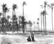 Click to see details of a woman and child in a palm grove, with...