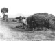Click to see details of a threshing machine pulled by water...