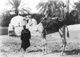 Click to see details of a boy and a camel.
