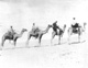 Click to see details of four riders on camels.
