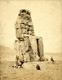 Click to see details of the northern colossus of amenophis iii...