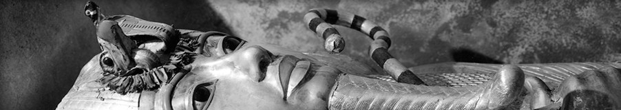 Detail of Tutankhamun's outermost coffin (object no. 253)